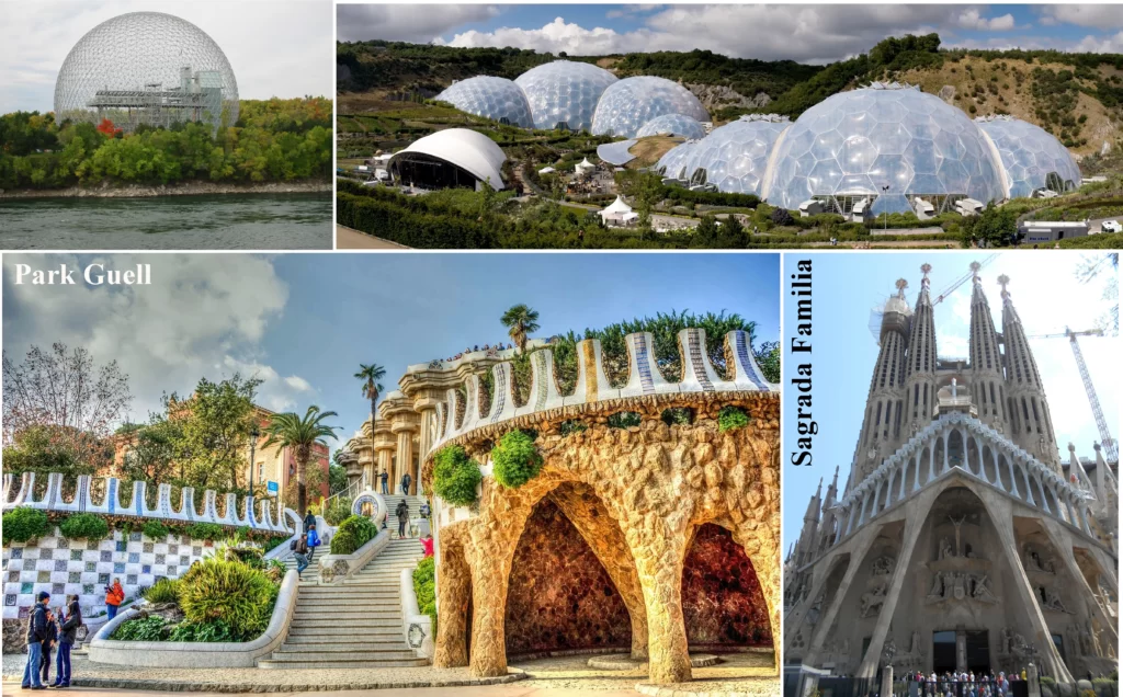 ORGANIC ARCHITECTURE