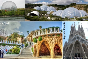 ORGANIC ARCHITECTURE