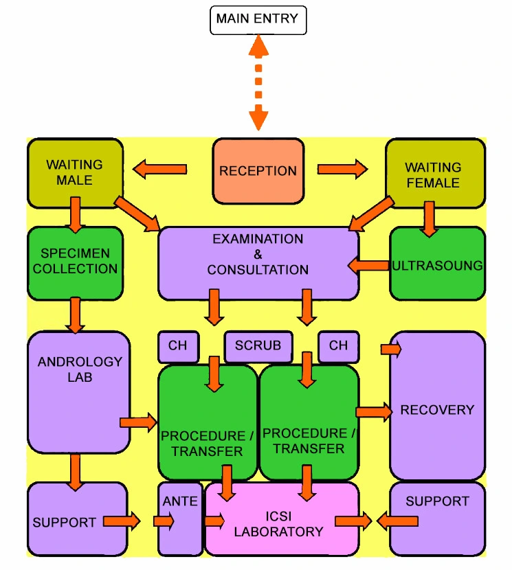 IVF UNIT FUNCTIONAL RELATIONSHIP DIAGRAM