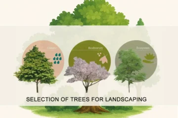 SELECTION OF TREES FOR LANDSCAPING