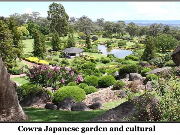 JAPANESE GARDENS