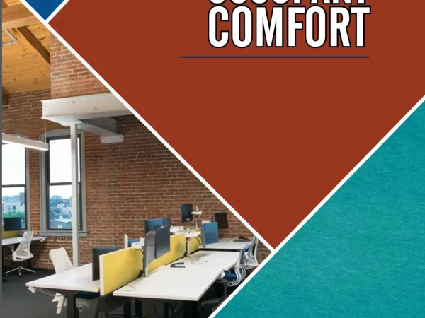 OCCUPANT COMFORT