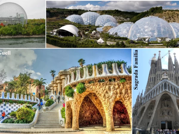 ORGANIC ARCHITECTURE