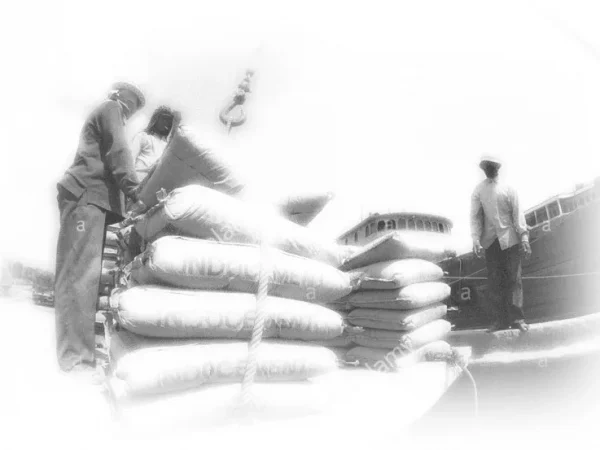 SPECIFICATION ON CARRIAGE AND STACKING OF MATERIAL