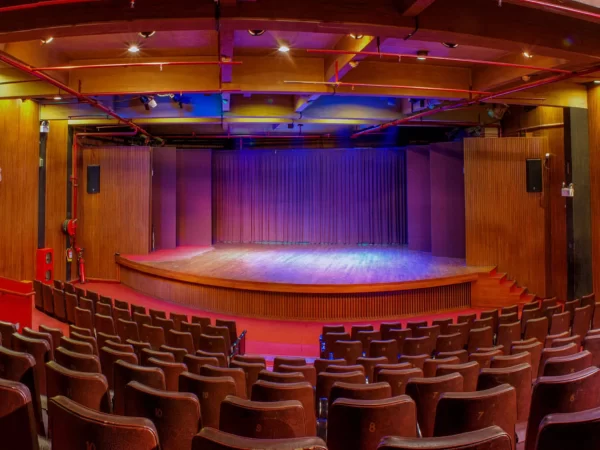 TYPE OF AUDITORIUM