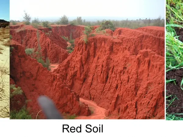 TYPES OF SOIL